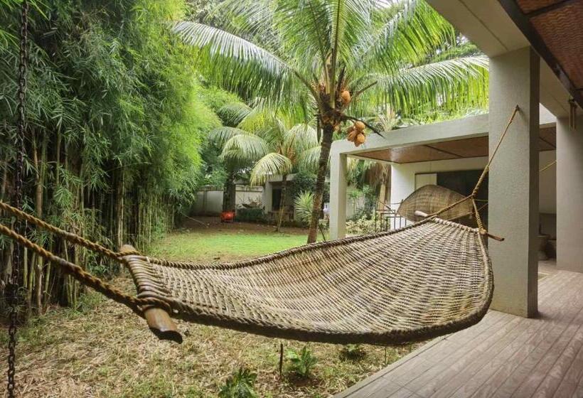 بنجلو عائلى, Munting Paraiso