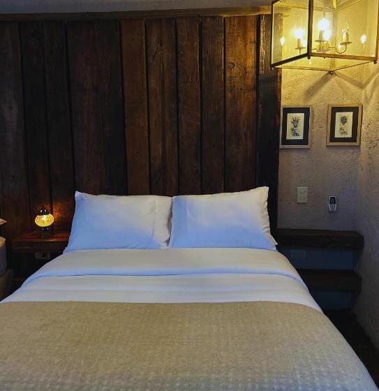 スタンダードルーム, Casa Andreu