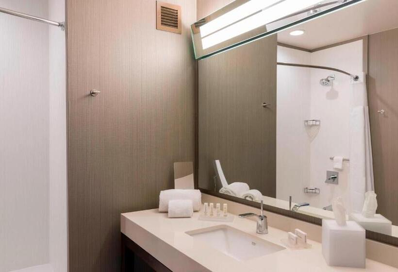 带大床的复式套间, Courtyard By Marriott Waterloo Cedar Falls