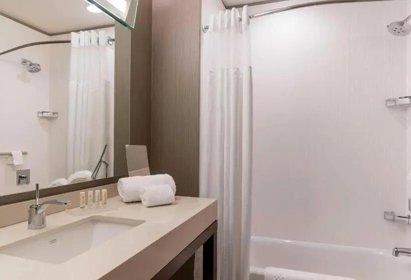 اتاق استاندارد برای معلولان, Courtyard By Marriott Waterloo Cedar Falls