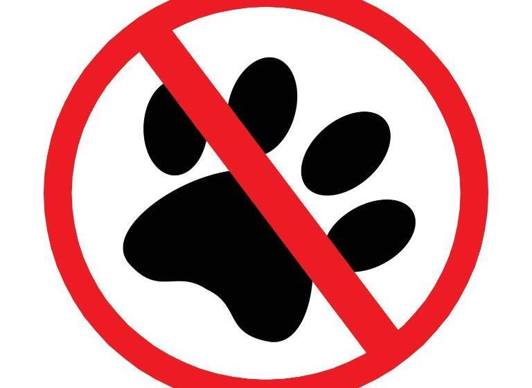 جناح جونيور, L Funäsdalen