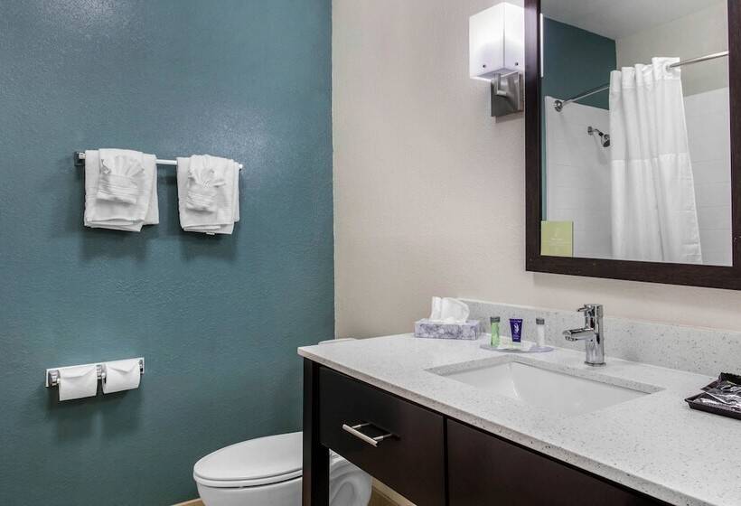 جناح لذوى الاحتياجات الخاصة, Sleep Inn Big Spring North I 20