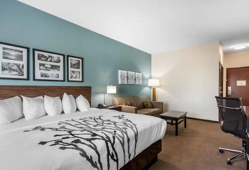 身障者適用スイートルーム, Sleep Inn Big Spring North I 20