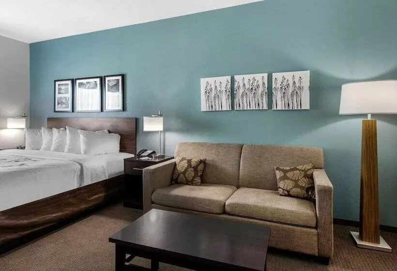 身障者適用スイートルーム, Sleep Inn Big Spring North I 20