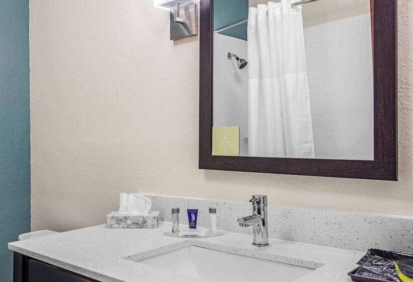 جناح لذوى الاحتياجات الخاصة, Sleep Inn Big Spring North I 20