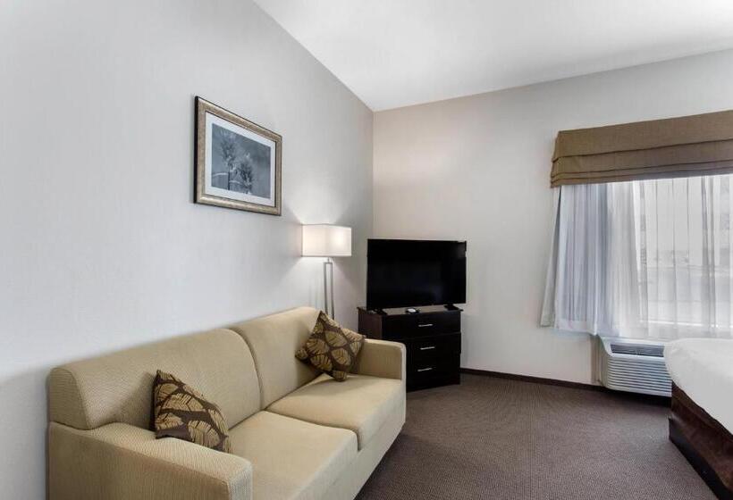 جناح سرير كينج, Sleep Inn Big Spring North I 20