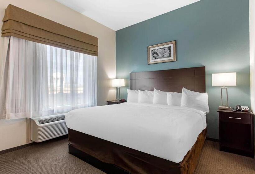 带大床的套房, Sleep Inn Big Spring North I 20