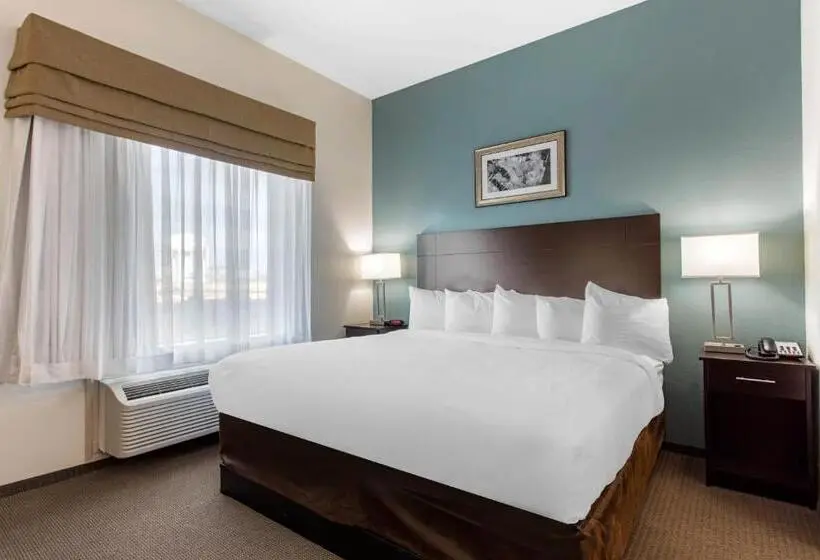 身障者適用キングサイズベッドルーム, Sleep Inn Big Spring North I 20