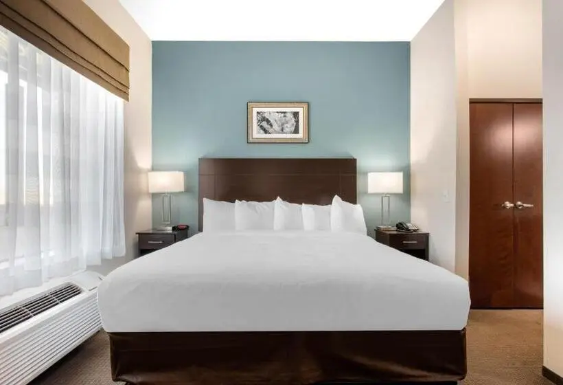 身障者適用キングサイズベッドルーム, Sleep Inn Big Spring North I 20