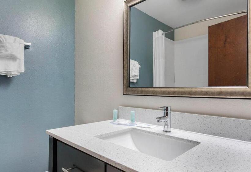 غرفة قياسية سرير كينج لذوى الإحتياجات الخاصة, Sleep Inn Big Spring North I 20