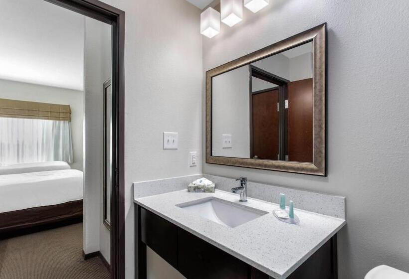 غرفة قياسية لذوى الاحتياجات الخاصة, Sleep Inn Big Spring North I 20