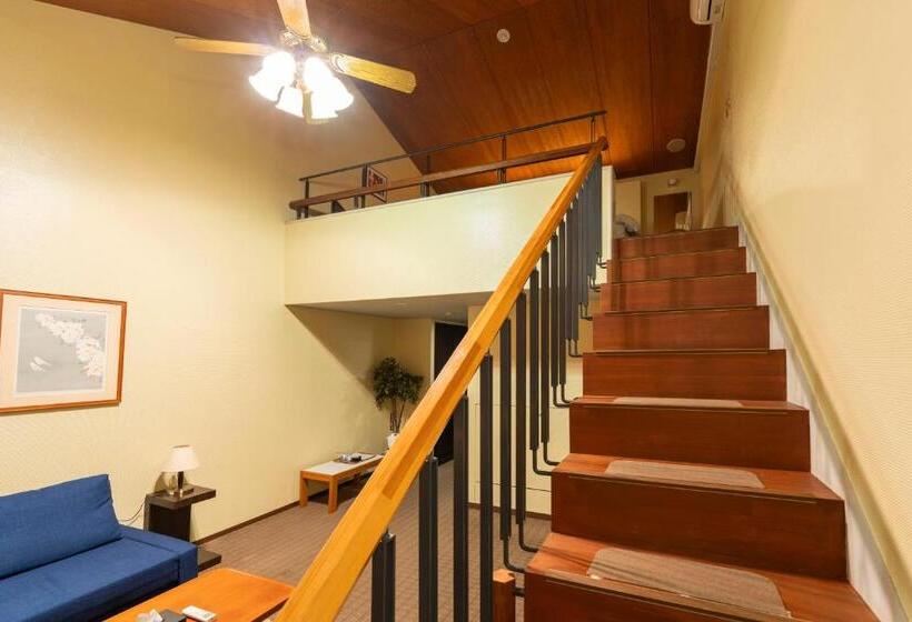 スタンダードルーム, 富士祥栄会館