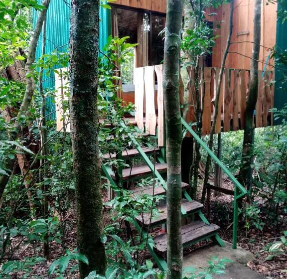 スタンダード４人部屋, The Green Tree Lodge