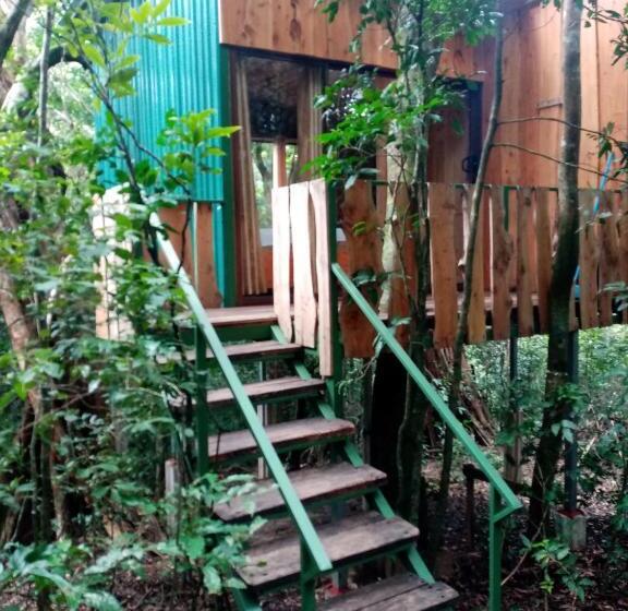 スタンダード４人部屋, The Green Tree Lodge