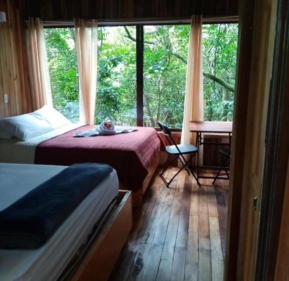 スタンダード４人部屋, The Green Tree Lodge