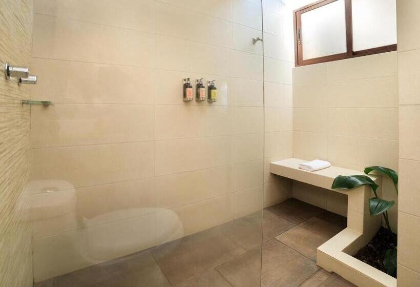 סוויטת קומפורט, Amate Del Rio