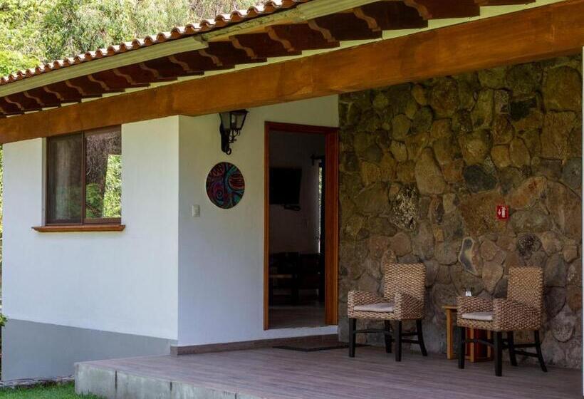 סוויטת קומפורט, Amate Del Rio