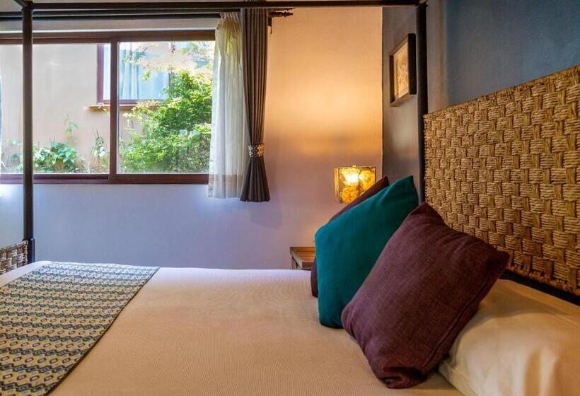 小型套房, Amate Del Rio