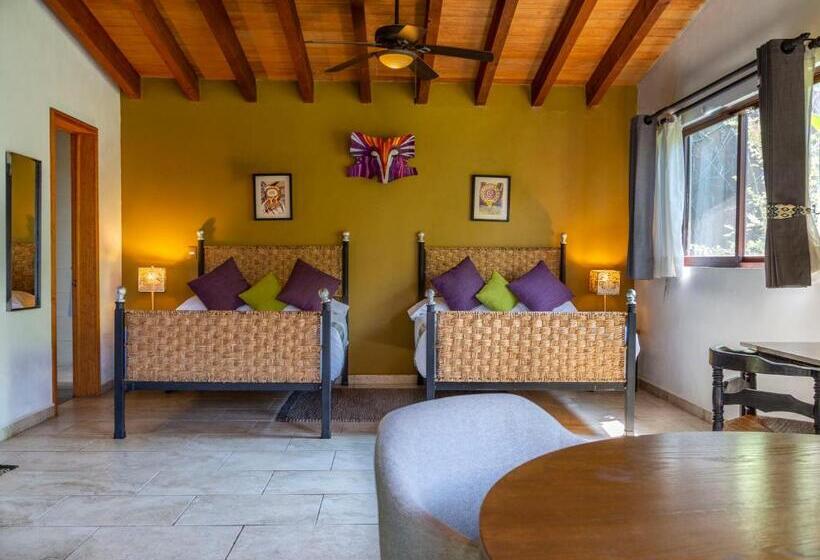 סוויטת קומפורט, Amate Del Rio