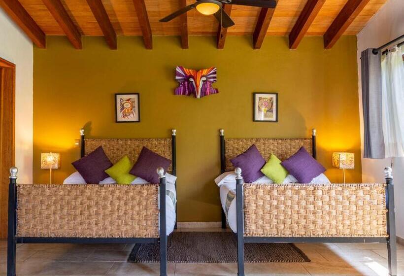 סוויטת קומפורט, Amate Del Rio