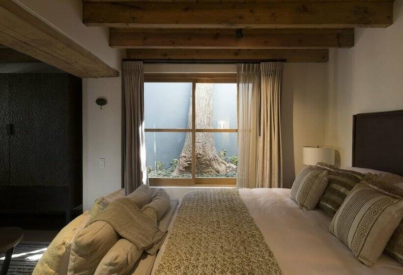 套房, La Casa Rodavento