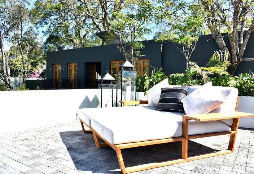 带露台的套间, La Casa Rodavento