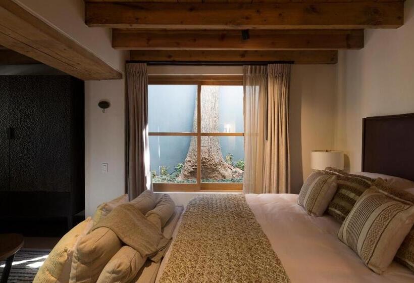 套房, La Casa Rodavento