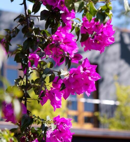 带阳台套房, La Casa Rodavento