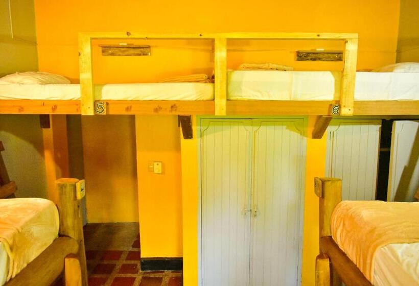 共用房间的床, Río Elemento