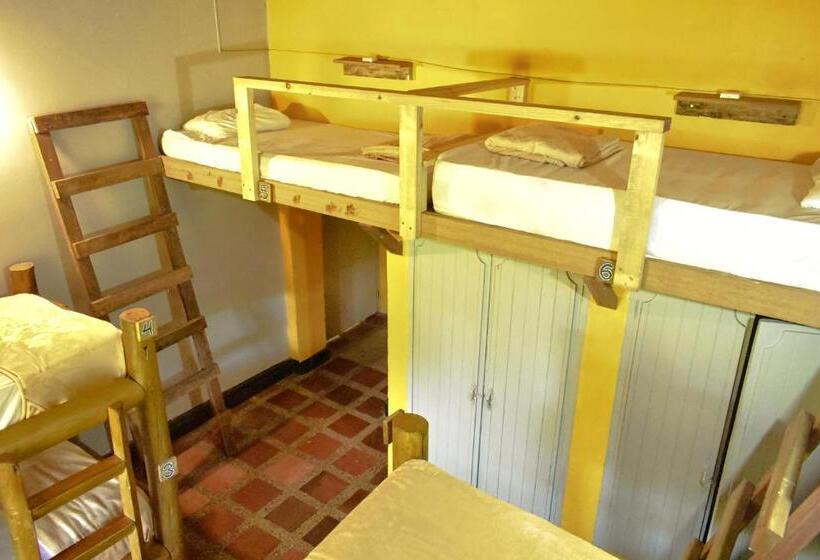 共用房间的床, Río Elemento