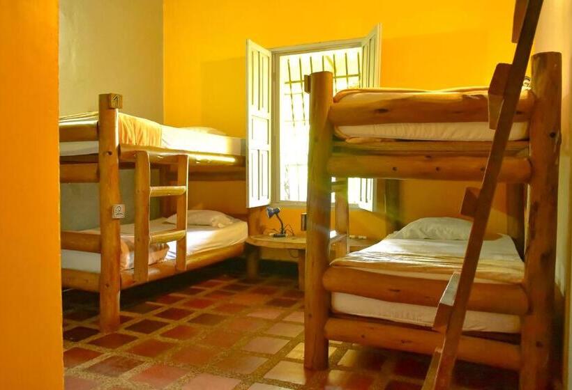 共用房间的床, Río Elemento