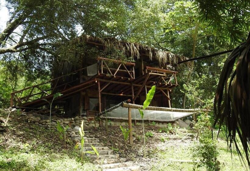 标准房带园景, Río Elemento