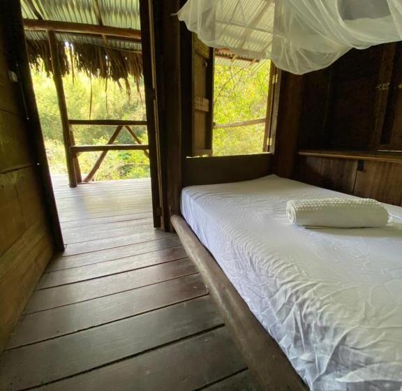 标准单人间, Río Elemento