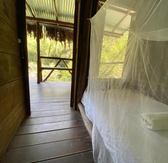 标准单人间, Río Elemento