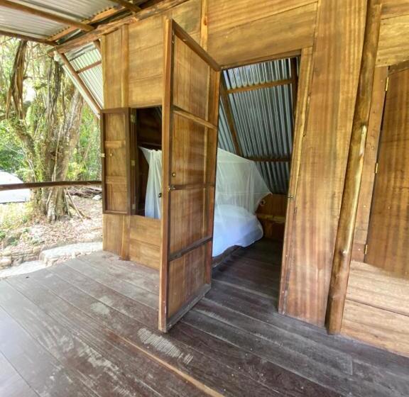 标准单人间, Río Elemento