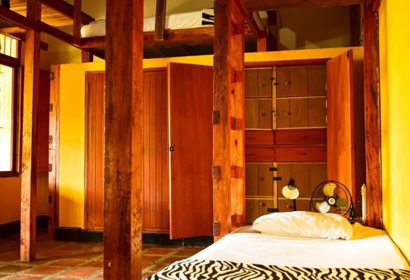 共用房间的床, Río Elemento