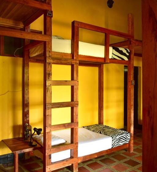 共用房间的床, Río Elemento