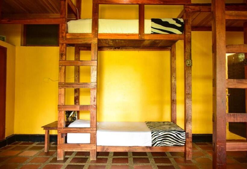 共用房间的床, Río Elemento