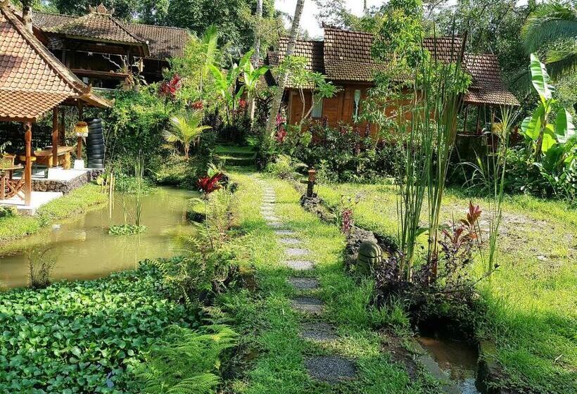 디럭스 스튜디오, Song Broek Bali