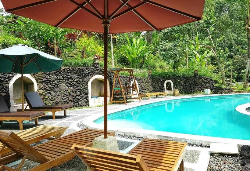 豪华工作室, Song Broek Bali