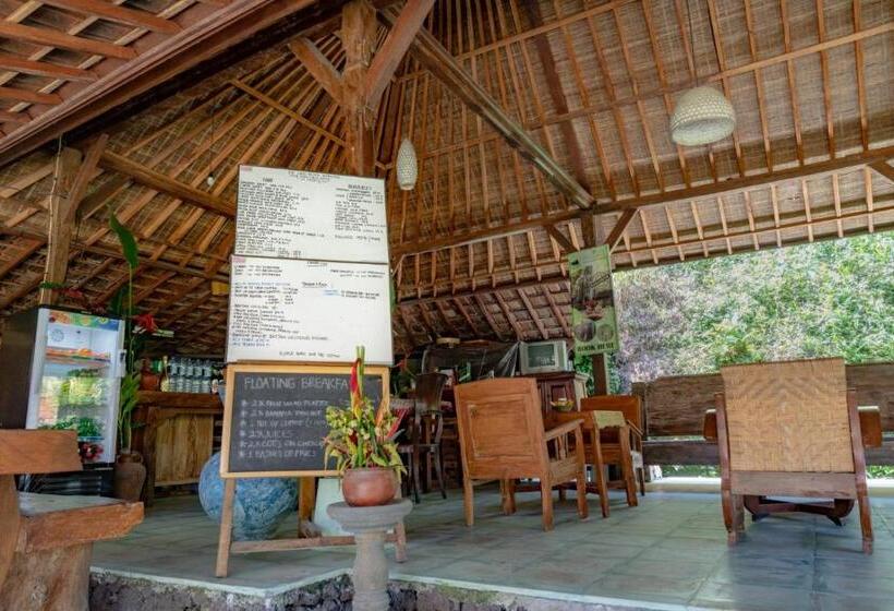 豪华工作室, Song Broek Bali