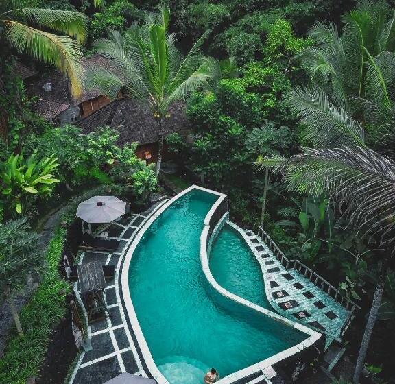 디럭스 스튜디오, Song Broek Bali