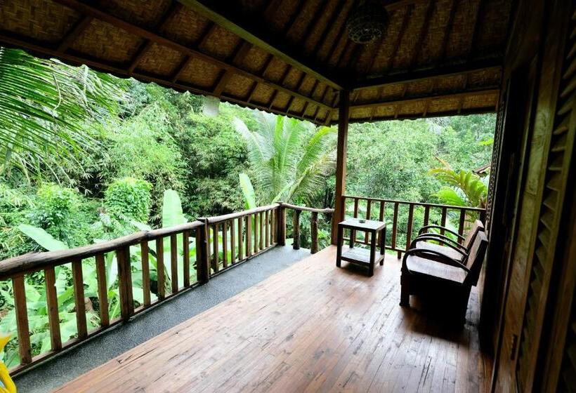 豪华洋房, Song Broek Bali