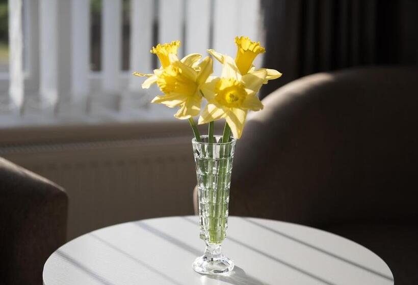 اتاق استاندارد با تخت بزرگ, The Roses B&b