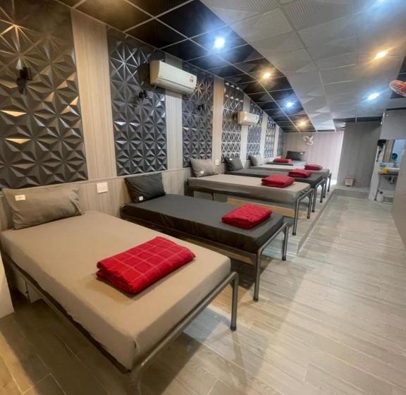 تختخواب در اتاق مشترک, Lynk Stay Hoian