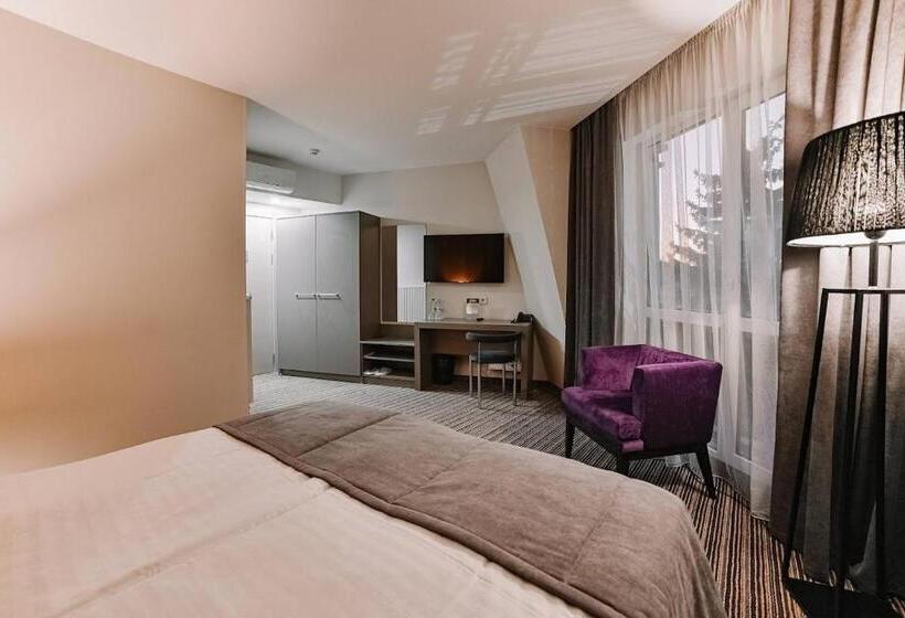 豪华房间, Boutique Hotel Central