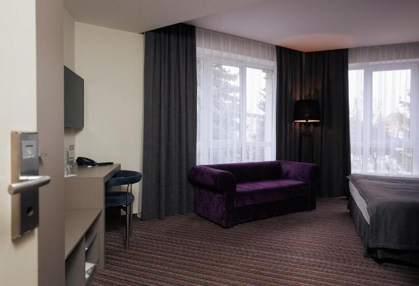 豪华房间, Boutique Hotel Central