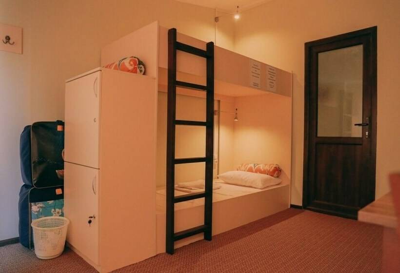 تختخواب در اتاق مشترک, Somoni Hostel