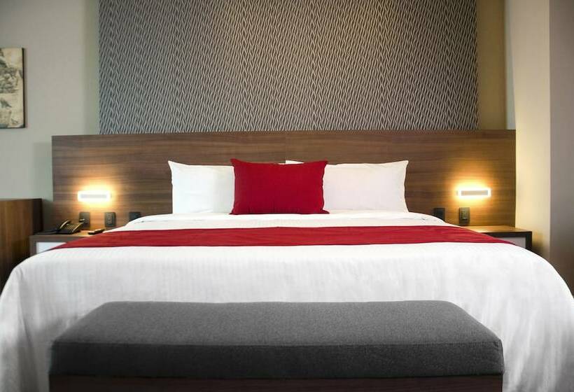 اتاق لوکس, 5 De Mayo