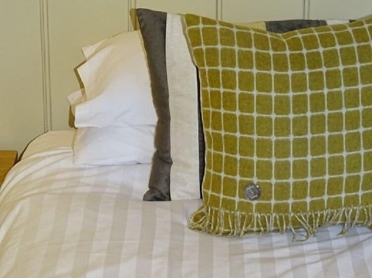 标准间, Cann Office